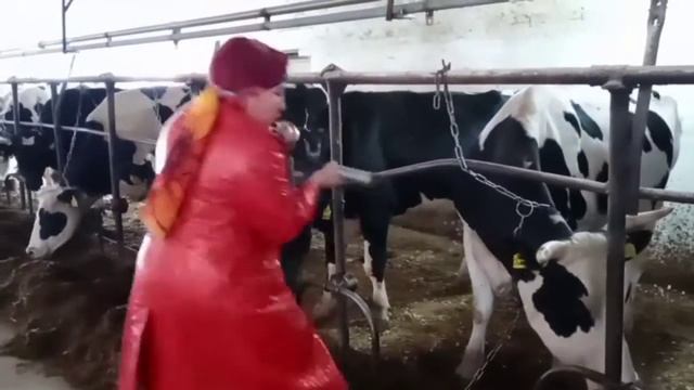 Поздравление с Днем сельского хозяйства смотреть онлайн