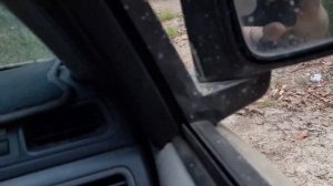 Honda CR-V Offroad with Mitsubishi Triton, Nissan X-Trail @ Ormeau Hills