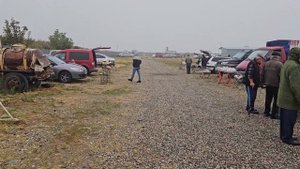 Голуби цены Птичий рынок г Пятигорск-ч1