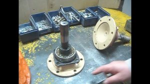 Часть 12. Мангуст Кадет. Первые выезды.