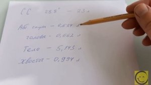 Чистый спирт в домашних условиях. Аппарат Wein 6 pro