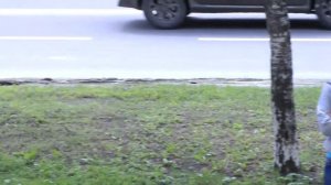 Три девицы под окном ;-)