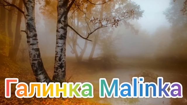 Ольга Уралочка live /Баба Сафа распустила сопли /Обзор Влогов /Уралочка и Сафар /