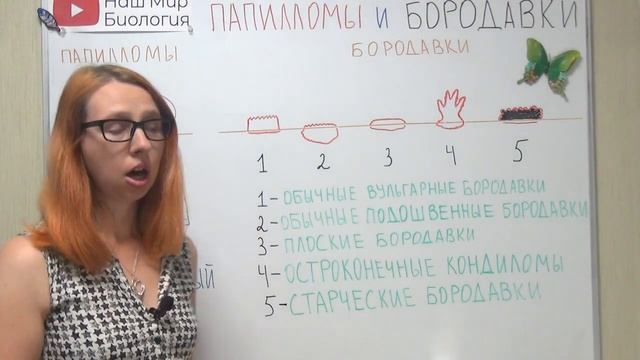 Что такое папилломы и бородавки? Как отличить папиллому от бородавки?