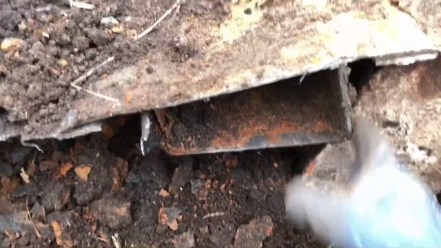 РЕШИЛИ ПРОВЕРИТЬ ЗАСОХШЕЕ БОЛОТО ПОСРЕДИ ФЕРМЫ! ЗИМНИЙ КОП МЕТАЛЛОЛОМА 2022! смотреть онлайн