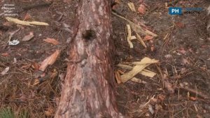 Рязанский политик Шерин показал последствия обстрелов в зоне СВО