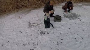 Стариця р.Ворскла / Ловля ЩУКИ та ОКУНЯ зі ЛЬДА взимку / жерлиці БЕЗМОТИЛКА балансир