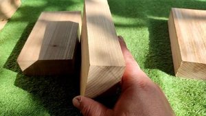 Карагач и дуб. Породы Кавказа.