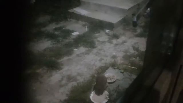 Вот какой гости приходит нам кушать каждый вечер смотреть онлайн