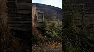 Щигры. Улица Большевиков. 5 октября 2023.