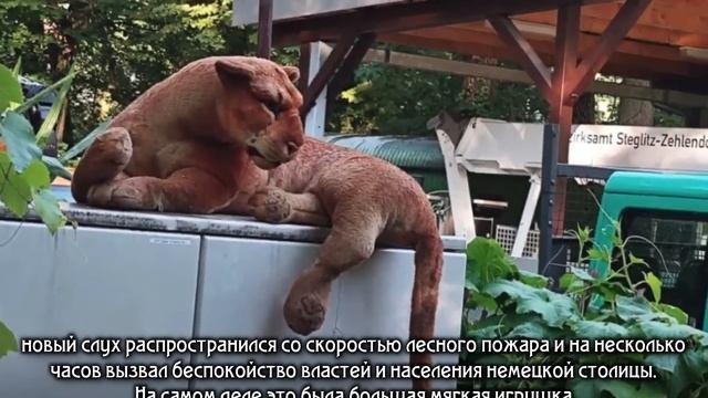 Германия 2023/Взрывные данные об «Альтернативе»/Руки прочь от наших детей/Писториус метит в канцлер