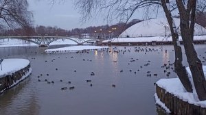 Москва. Зимняя сказка в парке "Царицыно" !