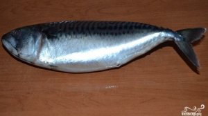 Засолка скумбрии в рассоле