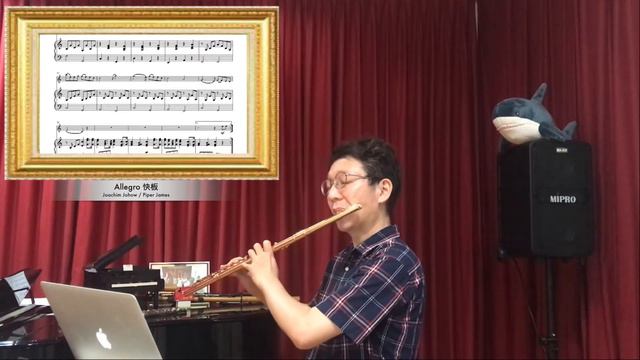 Allegro by Joachim Johow смотреть онлайн