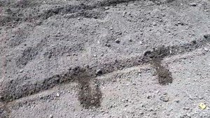 Как приготовить грядку для капусты.