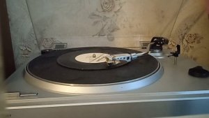 Земляне - Прости, земля 1982