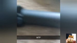 Cats Are Liquid? Proof in this video