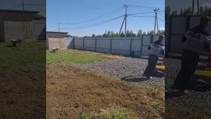 Дизельный мотоблок мтз, вспашка целины фрезой