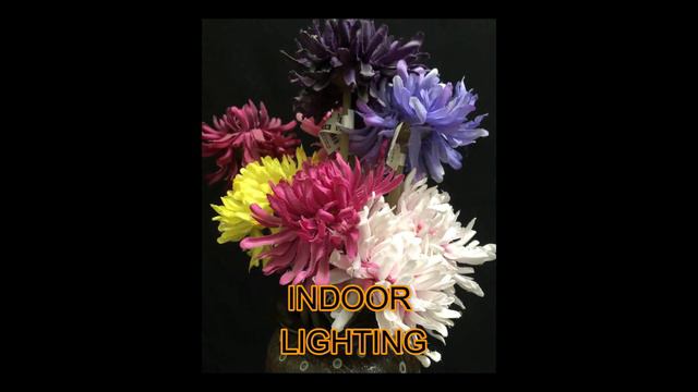 Cellbudy iPhone 8 unboxing 2021 (in Depth Full Review) смотреть онлайн