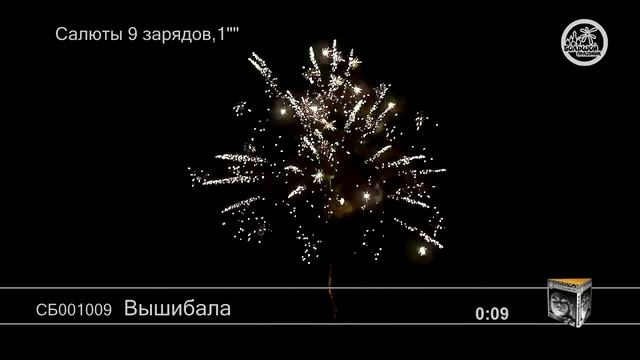 Вышибала СБ001009 салют Большой праздник 2019г. смотреть онлайн