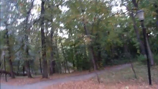 Ульяновск. Винновская роща в запущенном состоянии. Железнодорожный р-н (Киндяковка).