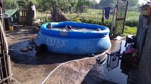 День рождения Кольки, дети купаются в бассейне