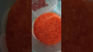 Как очистить икру от плёнки