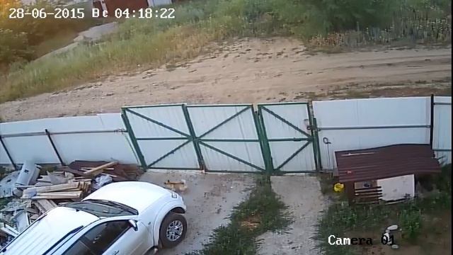 Бродячие собаки смотреть онлайн