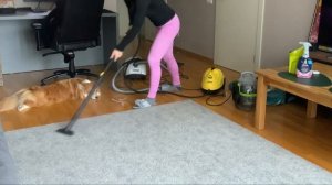 Как отмыть ковер с помощью Karcher SC 2 EasyFix & Bissell Spot Cleaner SpotClean Pet Pro