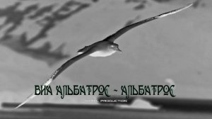 ВИА Альбатрос - Альбатрос (SDreL production)