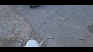 Двухэтажный Катамаран Кайман-800. Пластиковый катамаран для прогулок.