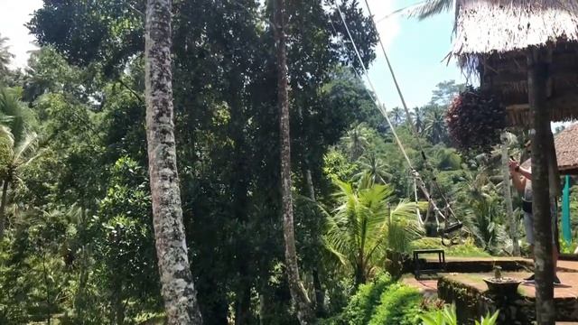 Рисовые террасы Tegallalang на Bali