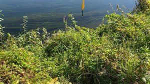 ТУШЕНАЯ КАРТОШКА ОПЯТЬ РЫБАЛКА И НЕМНОГО РАЗГОВОРОВ