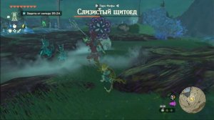 The Legend of Zelda  Tears of the Kingdom Слизистый Щитоед\Sludge Like