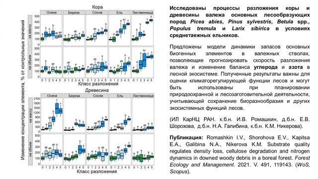 «Роль валежа в сохранении лесов Карелии»