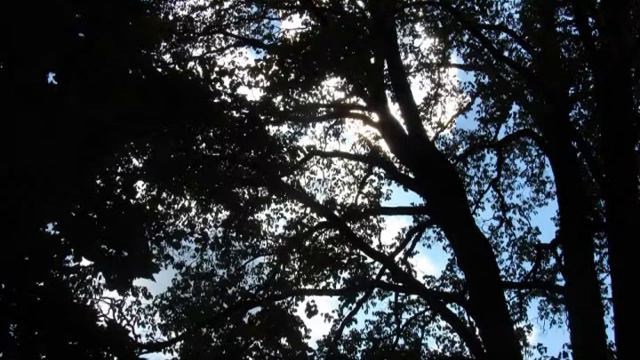 Pietro Antonio Locatelli - Sonata g-moll смотреть онлайн