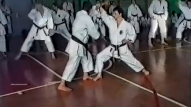 Shotokan Kata "Shotei-dai" Sadashige Kato sensei смотреть онлайн
