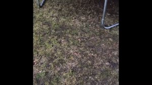 Собираем батут с сеткой для дачи Hasttings Classic Pink - 305см