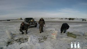 Зимняя рыбалка. Навага в Поронайске