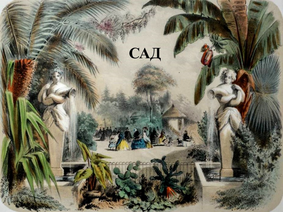 Cад смотреть онлайн