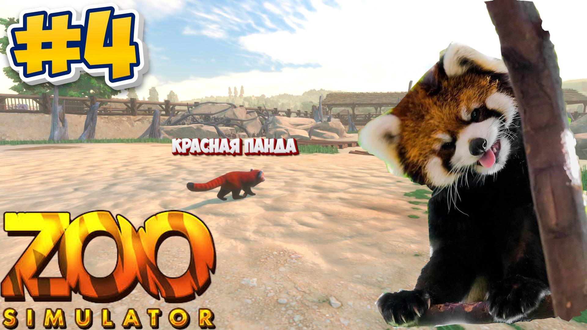 Красная Панда ►  Zoo Simulator #4