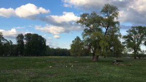 ЗВУКИ ПРИРОДЫ _ ASMR _ ВЕСНА 2021 (1).mp4