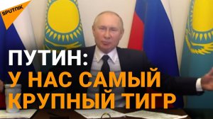 У кого тигр больше? Забавная дискуссия Токаева и Путина