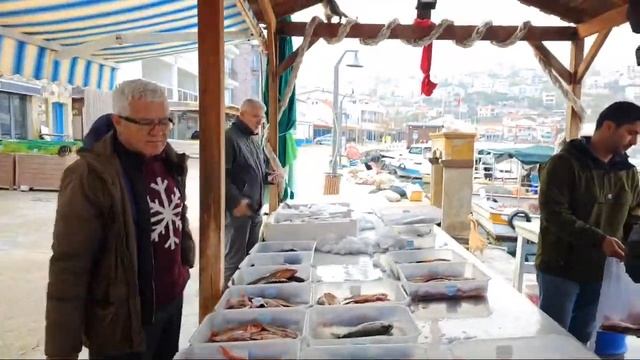 ARIK ÇİPURALAR BAŞLADI.17.01.2024 CANLI YAYIN смотреть онлайн