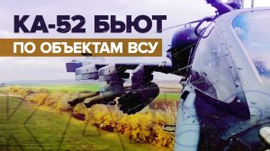 «Аллигаторы» на охоте: вертолёты Ка-52 наносят удар по позициям ВСУ