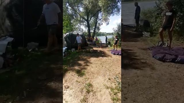 Палаточный городок на водохранилище в можайском районе