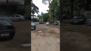 Как отмечают праздник республики в Беларуси. Город Борисов