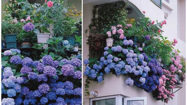 Easily learn to create a balcony garden and build your own private oasis. смотреть онлайн