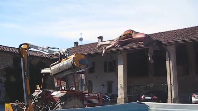 italia 1 at the farm смотреть онлайн