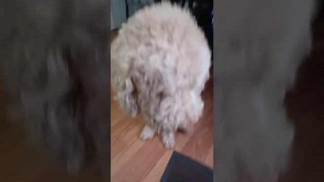 12 de octubre de 2021 смотреть онлайн